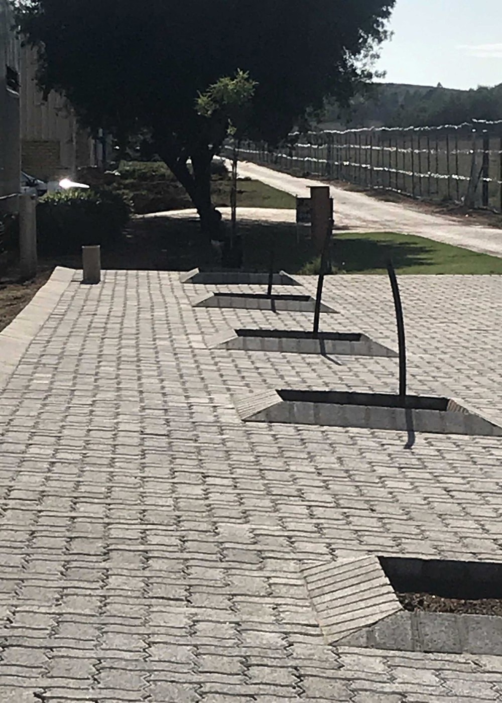 Paving installation and maintenance work in progress around prepared tree wells