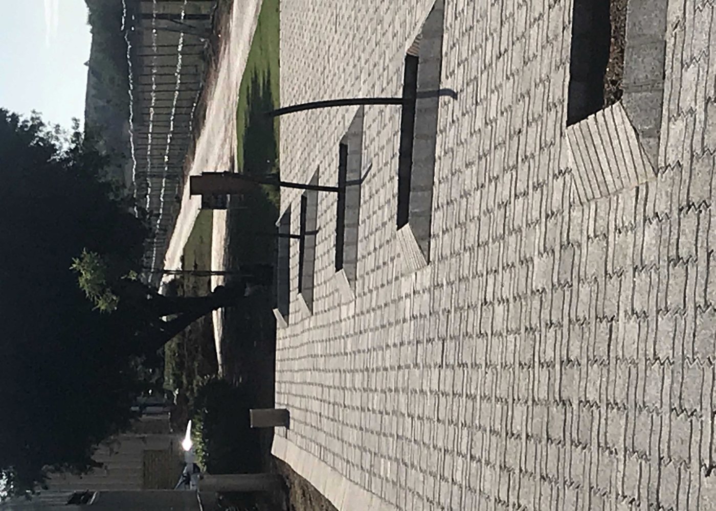 Paving installation and maintenance work in progress around prepared tree wells